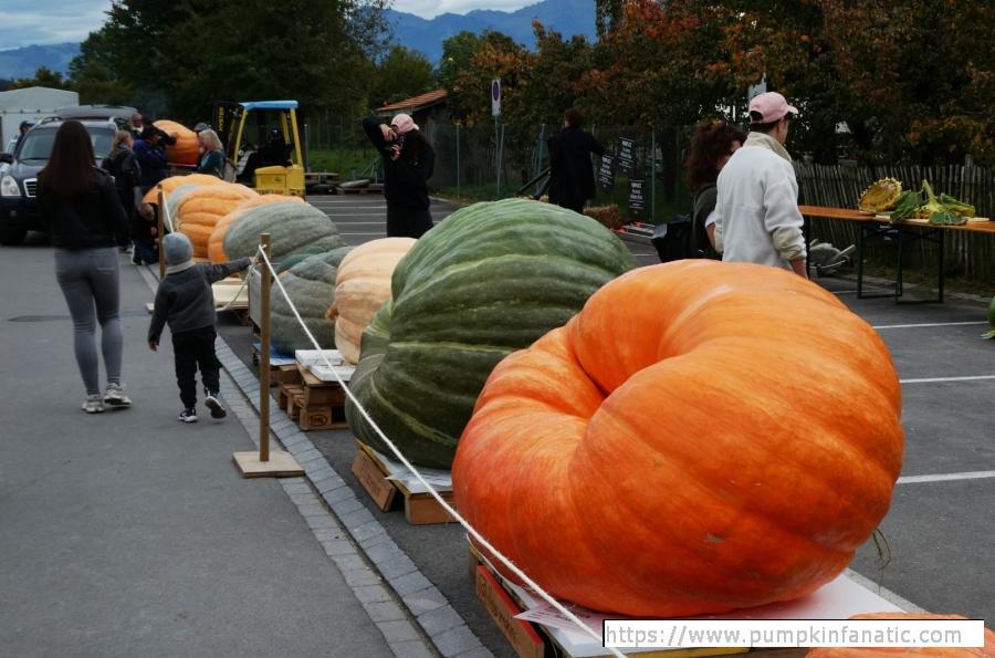 fruitImages/1606.1 Isler 2025C.jpg